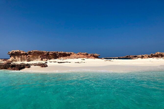 Daymaniyat Islands Snorkeling Half-Day Tour - The human part: guides who steer you to better spots