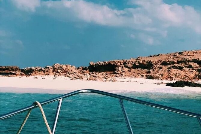 Daymaniyat Islands Snorkeling Half-Day Tour - Logistics that matter in Muscat: meeting point and transfers