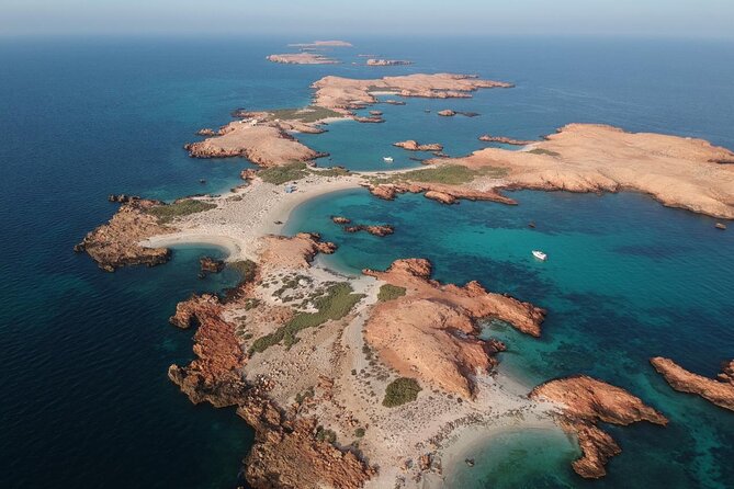 Daymaniyat Islands Snorkeling Sharing Trip - Key highlights that make this trip worth your time