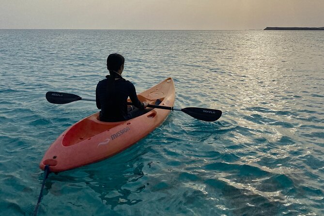 Daymaniyat Islands Snorkeling Sharing Trip - Al Mouj Marina, the 8:00 am start, and how the 5 hours usually flow