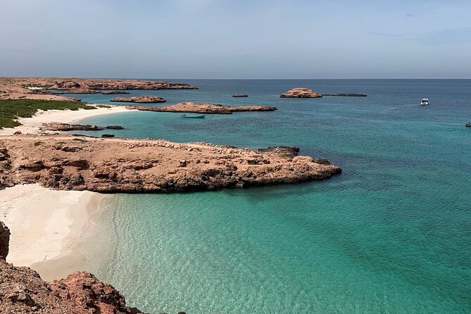 Daymaniyat Islands Snorkeling Sharing Trip - Kayaks on the water: when you’ll use them and what to expect