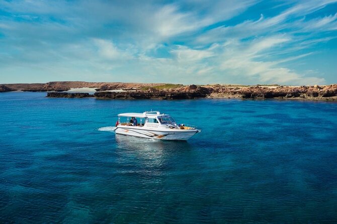 Daymaniyat Islands Snorkeling Sharing Trip - Crew energy, equipment comfort, and the video/photo bonus