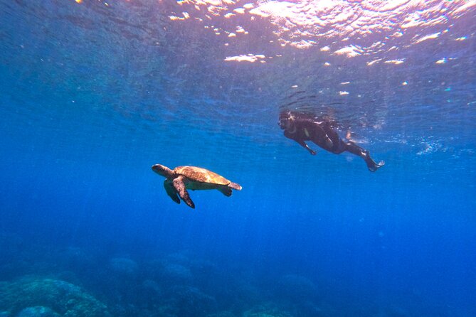 Daymaniyat Islands Snorkeling Sharing Trip - What you get for $106, and where the costs can sneak in