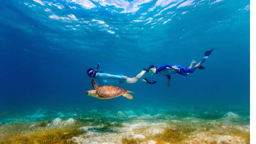 Daymaniyat Islands Snorkeling Small Group Turtles - Seeb Port Start, Then Off to the Daymaniyat Islands Nature Reserve