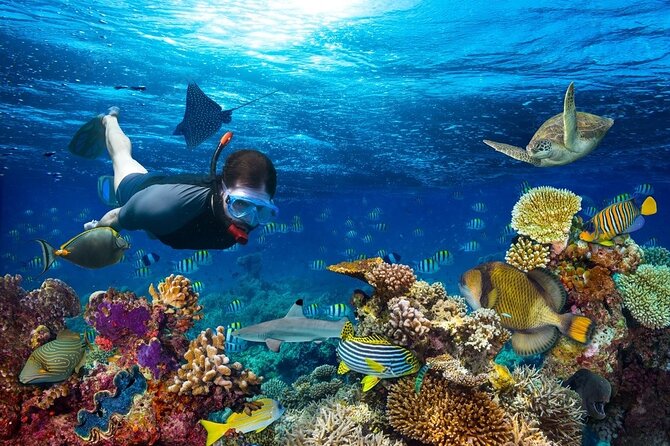 Daymaniyat Islands Snorkeling Tour - Daymaniyat Islands, 5 hours of sea time with real variety