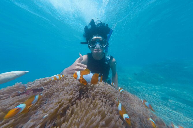 Daymaniyat Islands Snorkeling Tour - Kayak on request: fun if you plan for the extra step