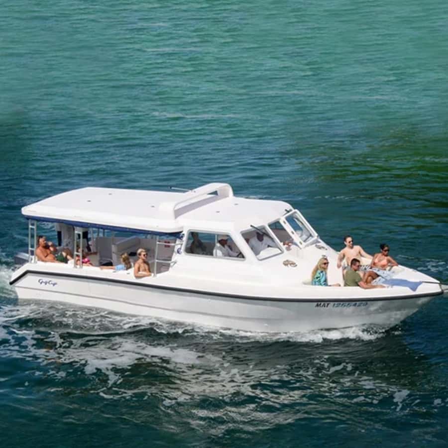 Daymaniyat Islands Snorkeling with Picnic Lunch - Key things I’d pencil into your day