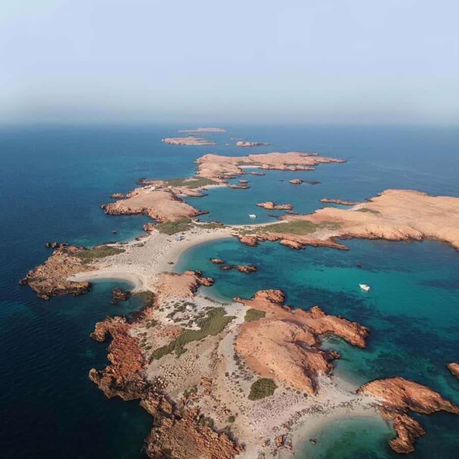 Daymaniyat Islands Snorkeling with Picnic Lunch - Turtle Bay, colorful reef fish, and the benefit of guided spotting