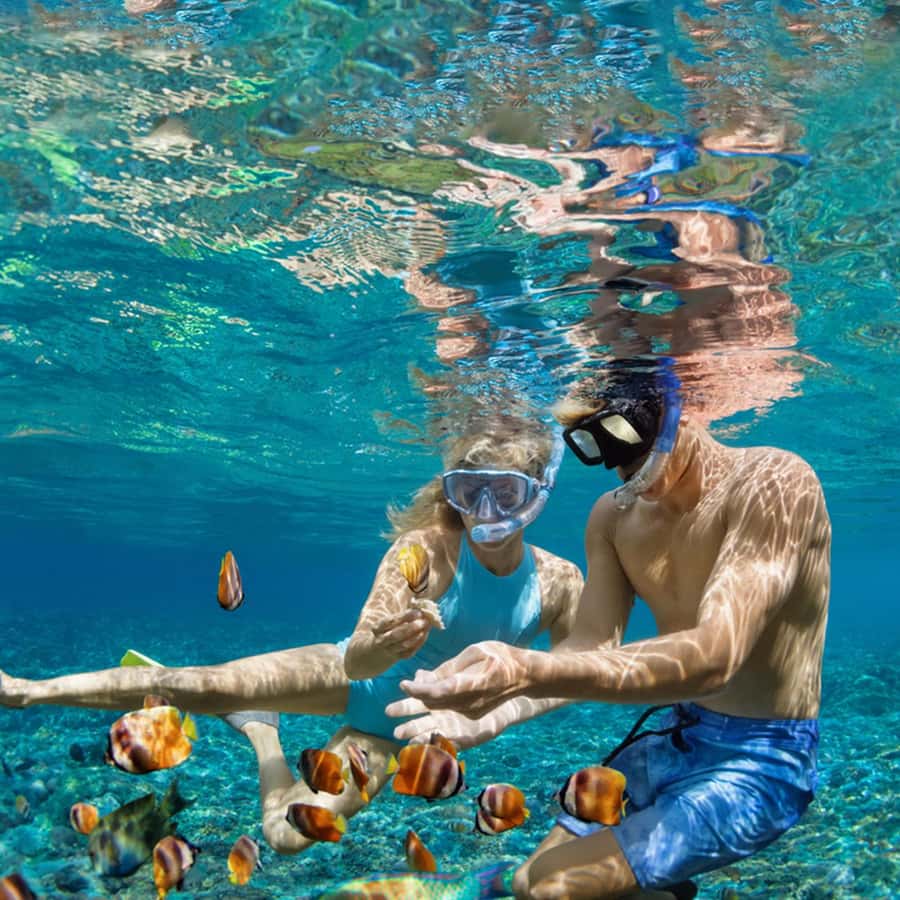 Daymaniyat Islands Snorkeling with Picnic Lunch - The island walk and picnic lunch you will actually appreciate