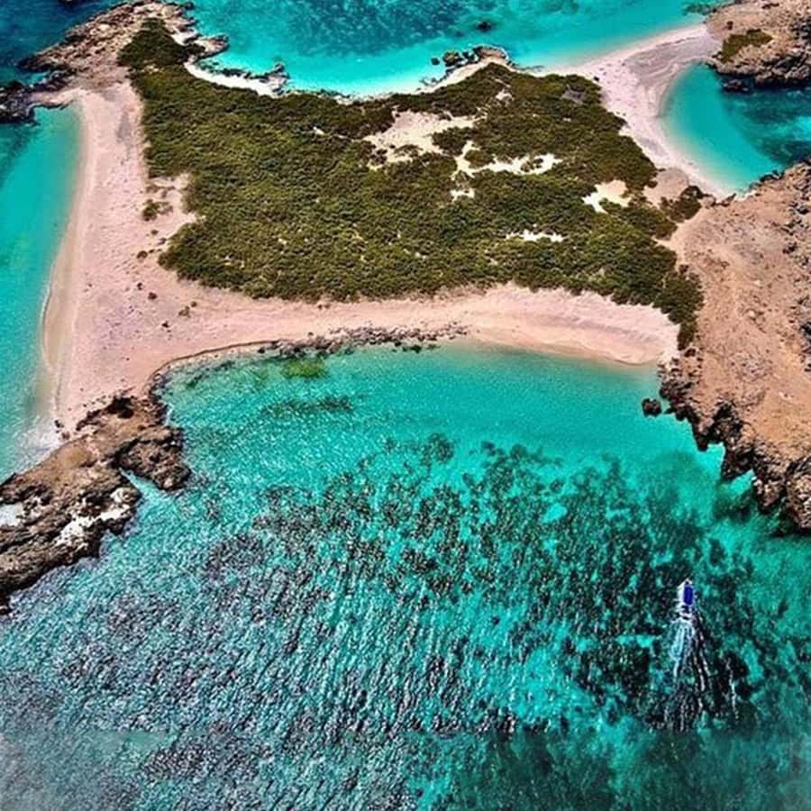 Daymaniyat Islands Snorkeling with Picnic Lunch - “Free GoPro” sounds great, but confirm what you receive onboard