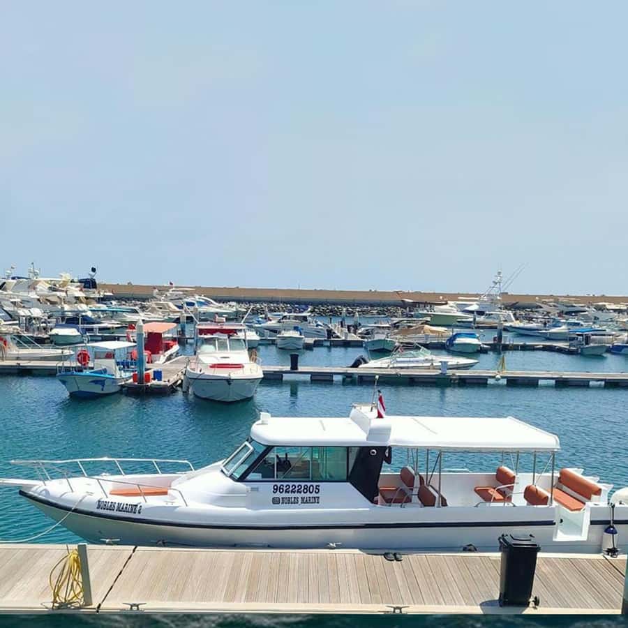Daymaniyat Islands Snorkeling with Picnic Lunch - Price and value for $71 per person