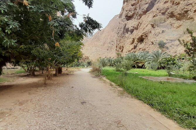 Desert Guided Overnight Camp Tour - How this two-day loop makes Oman make sense