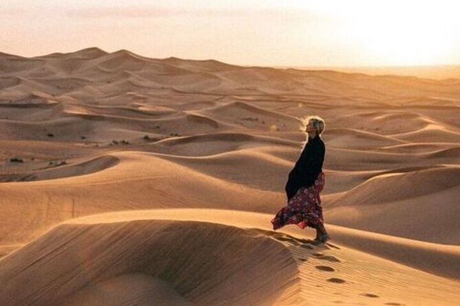 Desert Overnight in Private Bedouin Tent - Key highlights worth your attention