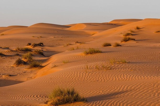 Desert Safari Sharing Tours - A one-day desert and wadi combo that makes logistical sense