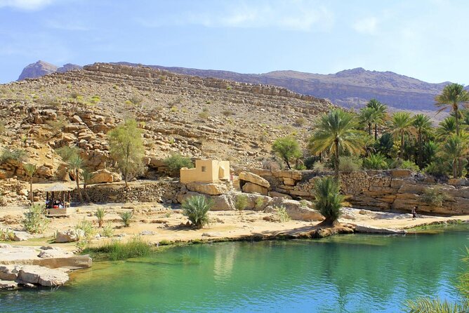 Desert Safari Sharing Tours - The desert pacing, the guide personality, and why it changes everything