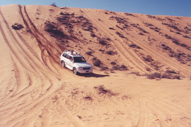 Desert Safari to Wahiba Sands and Wadi Bani Khalid from Muscat - Wahiba Sands: what dune bashing gives you, plus camel time