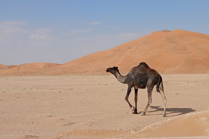 Desert Sunset Tour VisitSalalah - The real value behind the $140 price