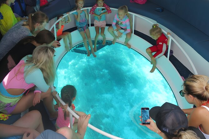 Dimaniyat Island Tour on Glass Bottom Boat (Muscat) - Dolphin Watching on the Run Out: What This “Cruise Time” Actually Gives You