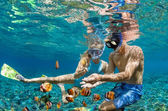 Dimaniyat Island Tour with Snorkeling - Getting on the Water: 8:30 am Start at Al Mouj Muscat (Seeb)