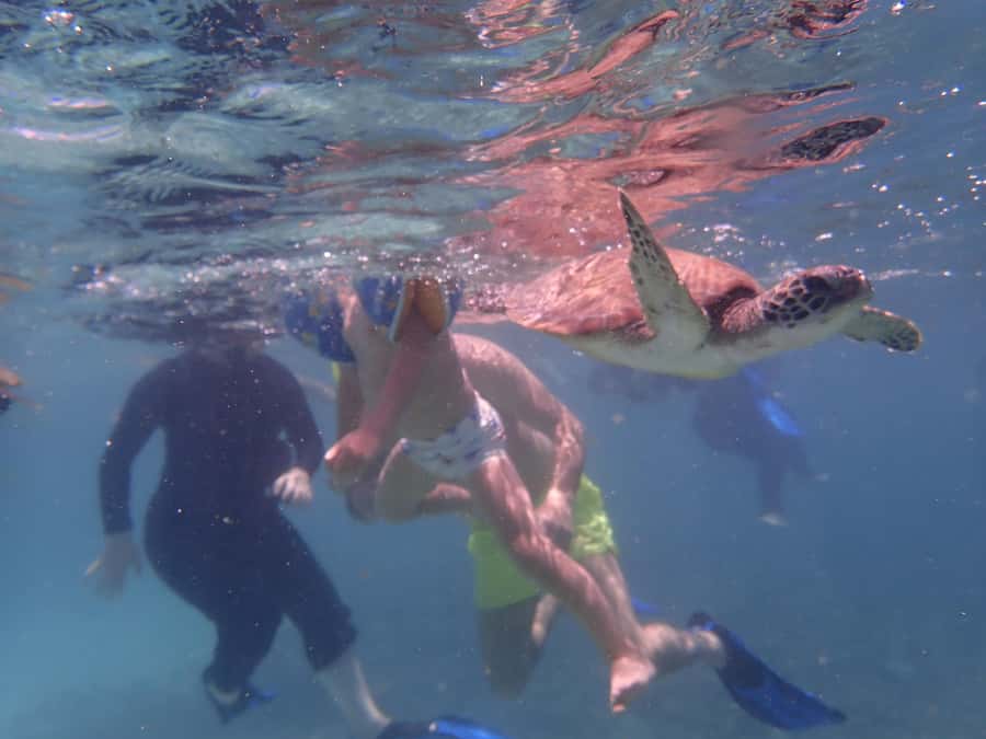 Dimaniyat Islands Snorkeling Trip - Dimaniyat Islands in Oman: a protected reef day without the fuss