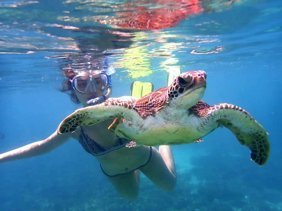 Dimaniyat Islands Snorkeling Trip - Timing and what the day feels like, from 8:20 AM to about 4.5 hours