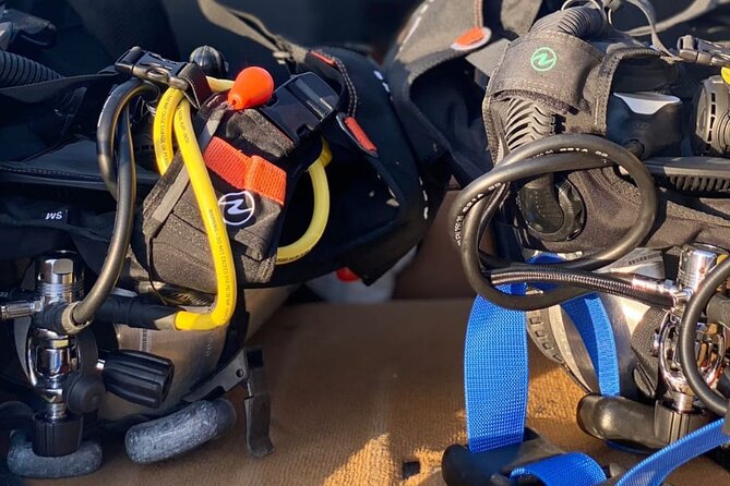 Discover Scuba Diving from a Fishing Village - Qantab home reef: fish, turtles, and the kinds of things you’ll watch for
