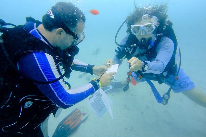 Discover Scuba Diving from a Fishing Village - Equipment, safety style, and why the crew friendliness matters