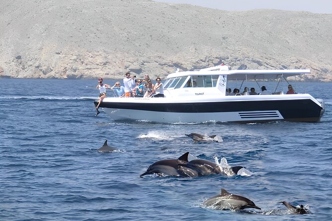 Dolphin Watching and Snorkeling Activity in Muscat - Key Things I’d Circle Before You Go