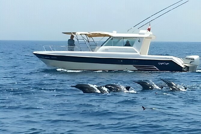Dolphin Watching and Snorkeling Activity in Muscat - Timing That Matters: 3 Hours Can Feel Like 2.5