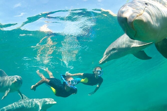Dolphin Watching and Snorkeling Activity in Muscat - Weather Is the Real Director of This Day