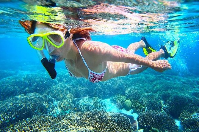 Dolphin Watching and Snorkeling Tour from Muscat - Snorkeling in Bandar Khiran for one hour: gear, sea turtles, and what you should focus on