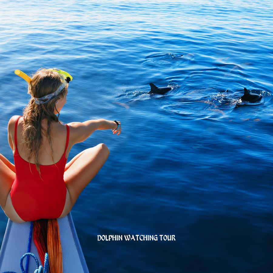 Dolphin Watching and Snorkeling Tour with Hotel Transfers - From Your Hotel to Bandar Al Rowdha Marina, Without the Guesswork