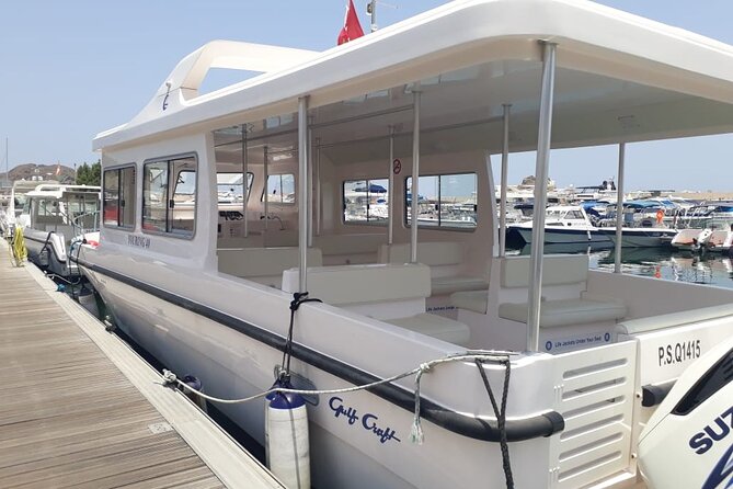 Dolphin Watching in Muscat - From Marina Bandar Al Rowdha: Getting Started Without Stress