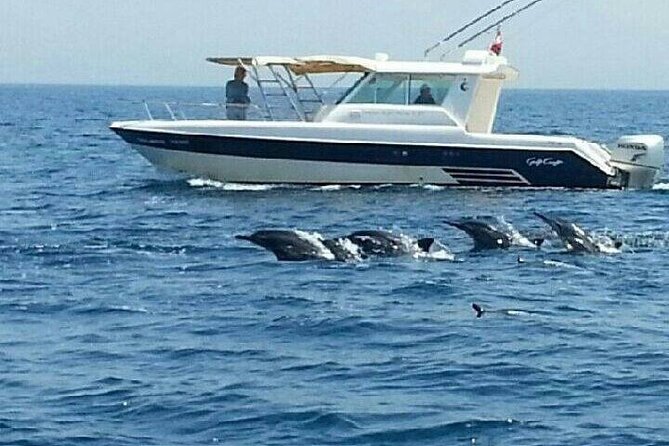Dolphin Watching in Muscat - How the Captain Looks for Dolphins (And Why It Can Take Time)