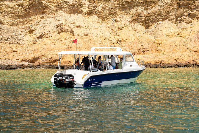 Dolphin Watching in Muscat - Where Al Bustan Palace Fits In (Pickup and Timing)