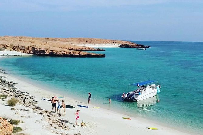 Dolphin Watching & Snorkeling - Key things you will notice on this Muscat dolphin and snorkeling boat trip
