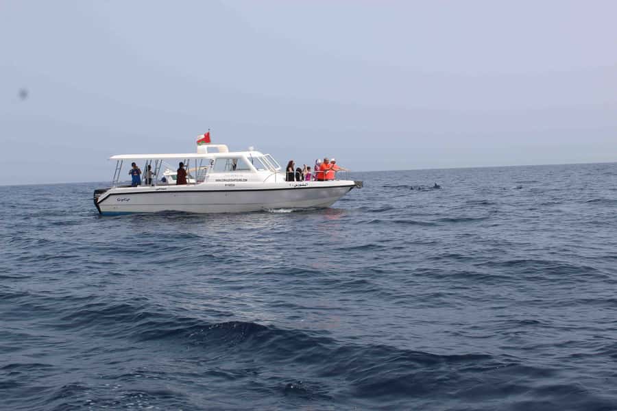 Dolphin Watching Tour - Why this dolphin watching tour feels like the real thing