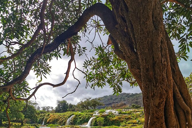 East of Salalah, Mountain Safari, Camels, Waterfall, White beach - From Taqah’s coastal charm to a mountain day plan