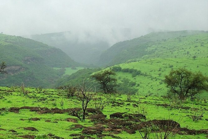 East of Salalah, Mountain Safari, Camels, Waterfall, White beach - Tawi Ateer sinkhole: the stop with the hardest walking