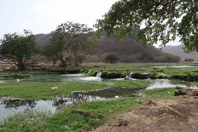 East of Salalah, Mountain Safari, Camels, Waterfall, White beach - Jabal Samhan viewpoint: the big sky, big distance moment