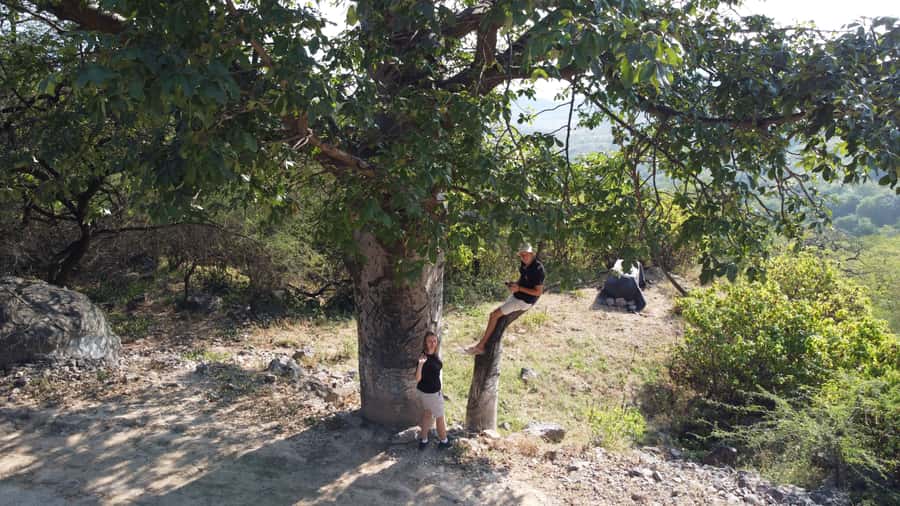 East Salalah Adventure: Nature, History, and Scenic Views - Lunch Break: Plan Your Own Bite While You Reset