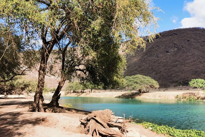 East Salalah Highlights: Half-Day Heritage & Scenic Countryside - Tawi Attair, the Well of Birds sinkhole, and why it feels strange