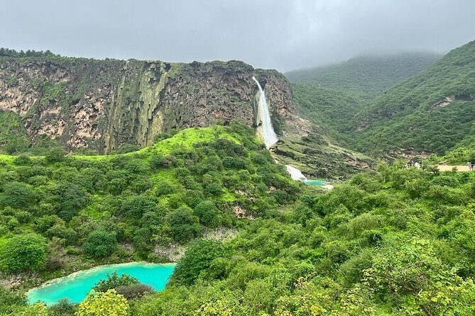 East Salalah Mountain Safari - Baobab trees near Salalah: the calm 40 minutes