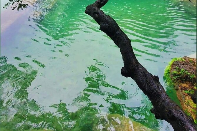 East Salalah Mountain Safari - Anti Gravity Point Salalah: a short, fun brain-twister stop