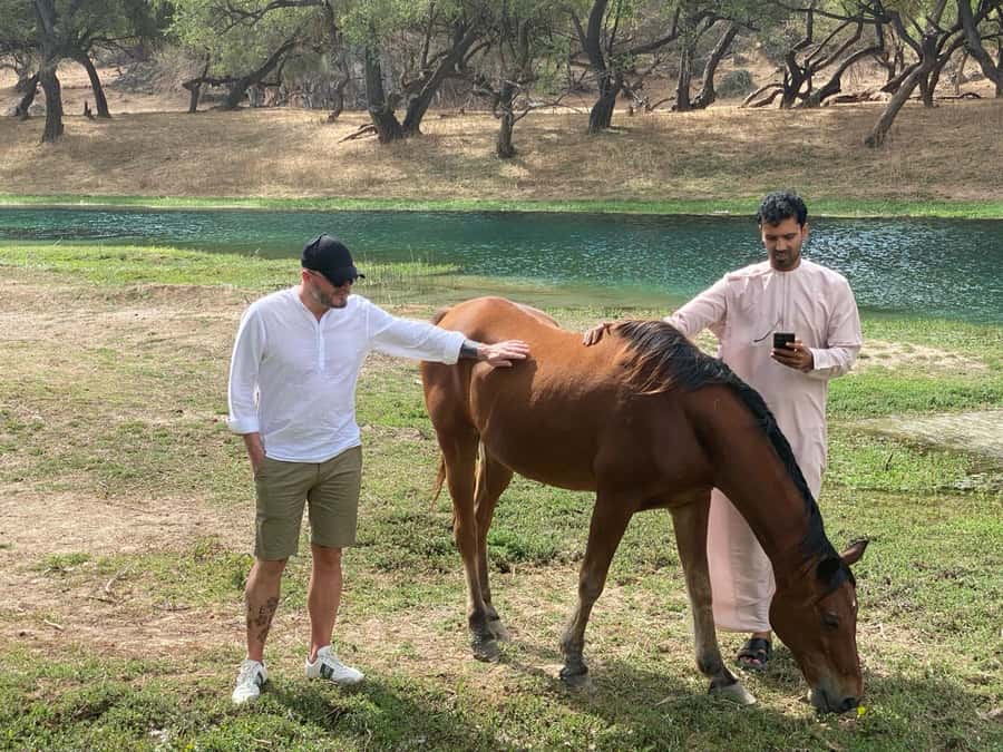 East Salalah Tour by VisitSalalah - Small Stops You Might Enjoy More Than You Expect