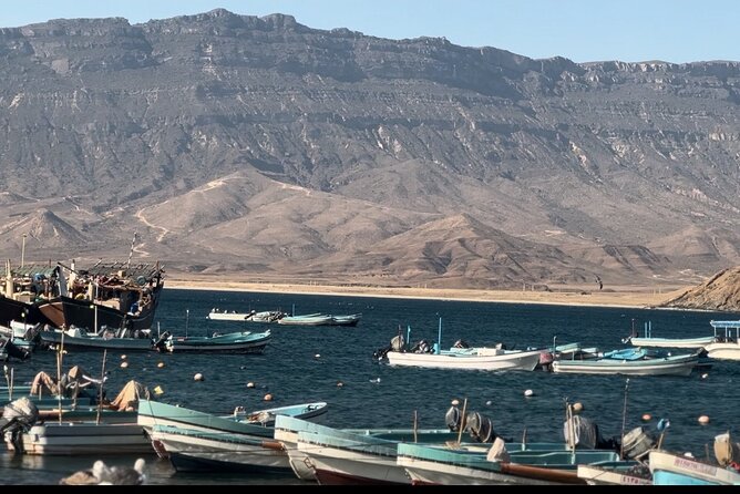 East Salalah tour Full day (private tour) - Taqah sunset over the sea: using the last 30 minutes well