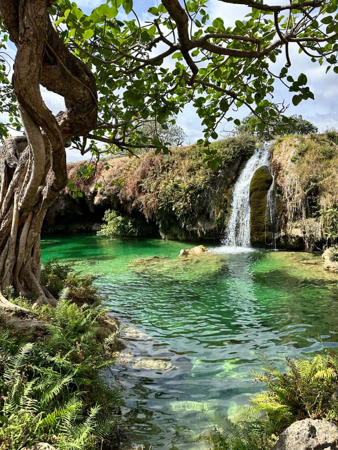 Elite Private Full Day Tour - Salalah Main Attractions - Your 4WD Land Cruiser, VIP Comfort, and Guide Energy