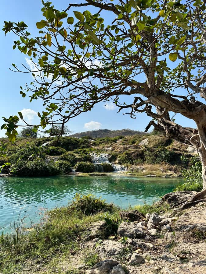 Elite Private Full Day Tour - Salalah Main Attractions - Secret Beach, Al Mughseal Blue Hole, and Al Fazayeh: Real Swim Time on the Western Side