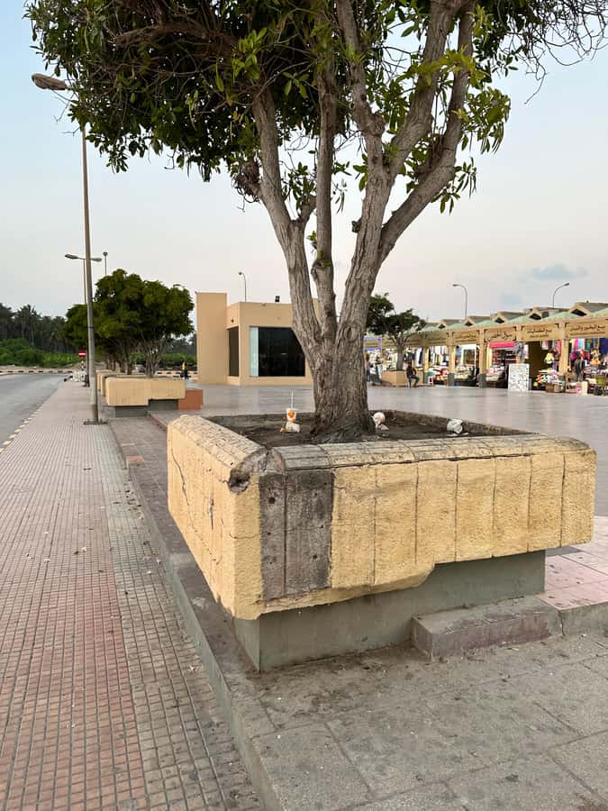 Elite Private Full Day Tour - Salalah Main Attractions - Food and Drinks: The Included Breaks That Keep You Going