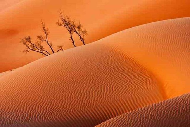 Empty Quarter And Lost City Of Ubar - Thumrait: a brief Bedouin settlement stop that sets the scene
